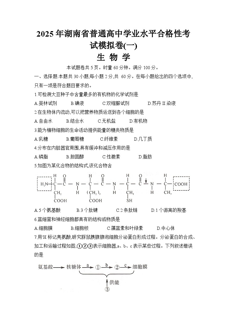 2025年湖南省普通高中学业水平合格性考试第一次模拟考试生物试卷第1页