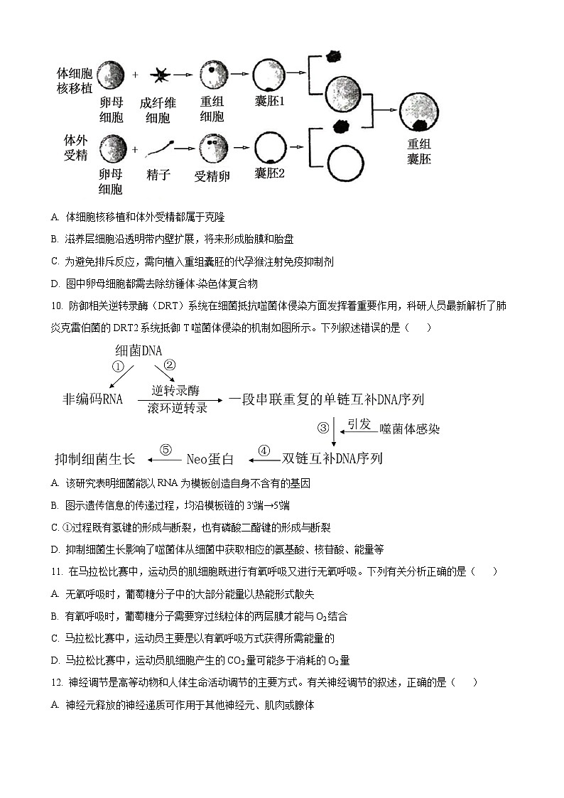安徽省六安市第二中学2024-2025学年高三下学期3月月考生物试题第3页