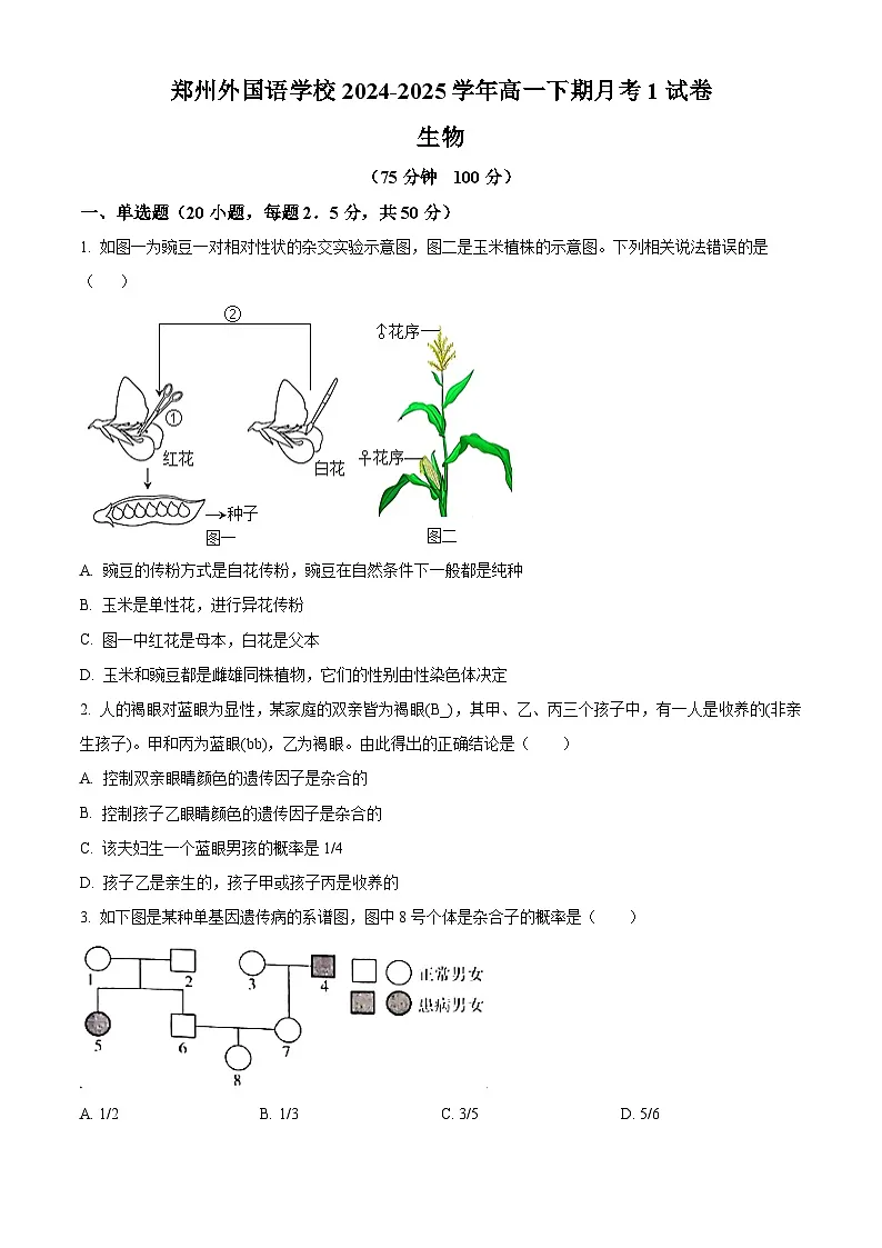 河南省郑州外国语学校2024-2025学年高一下学期第一次月考生物试卷第1页