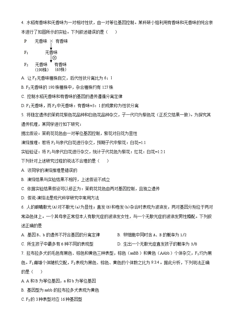 河南省郑州外国语学校2024-2025学年高一下学期第一次月考生物试卷第2页