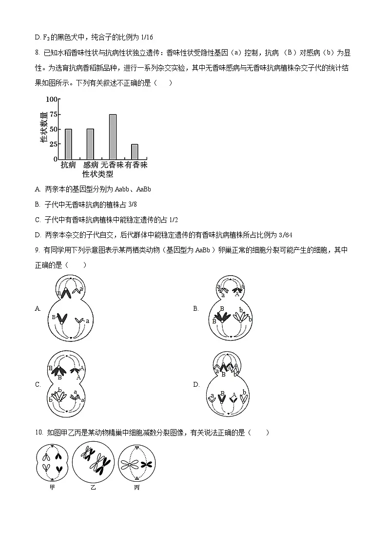河南省郑州外国语学校2024-2025学年高一下学期第一次月考生物试卷第3页