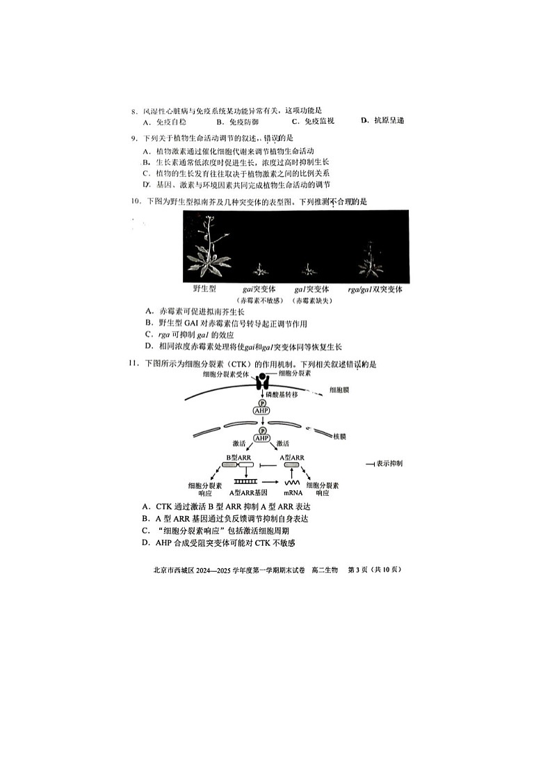 北京市西城区2024-2025学年高二上学期期末考试生物试卷含答案第3页