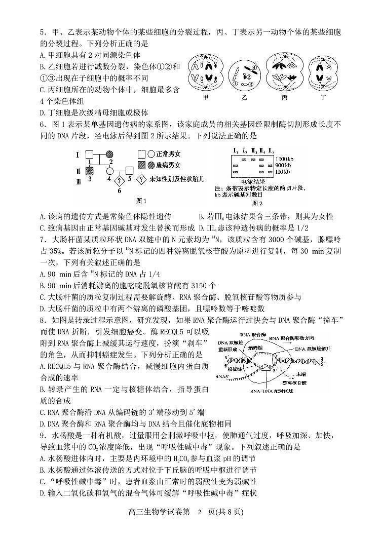 辽宁省丹东市2025届高三上学期1月期末教学质量调研测试生物试卷（含答案）第2页