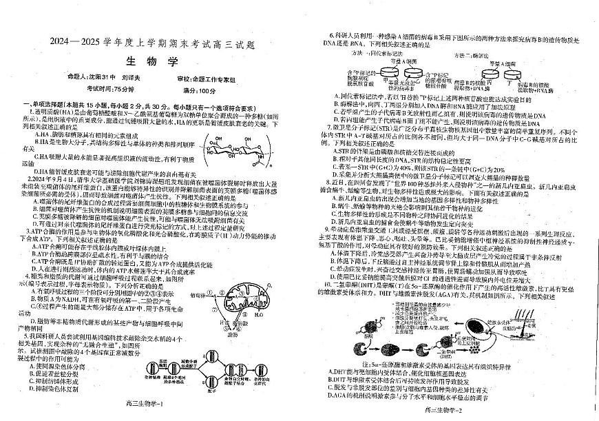 辽宁省省重点中学协作校2025届高三上学期1月期末生物试卷（含答案）第1页