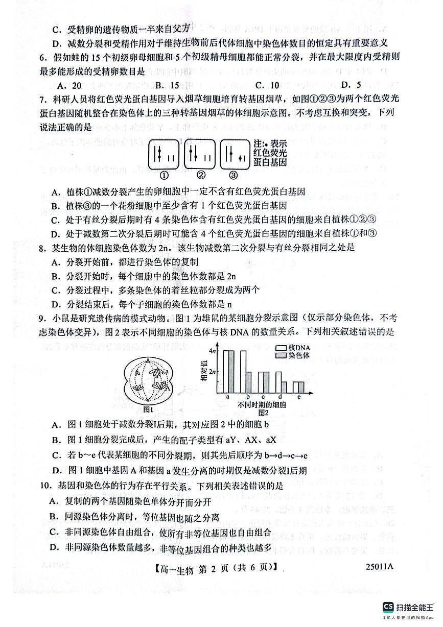 山东省菏泽市鄄城县第一中学2024-2025学年高一下学期4月月考生物试题（有解析）第2页