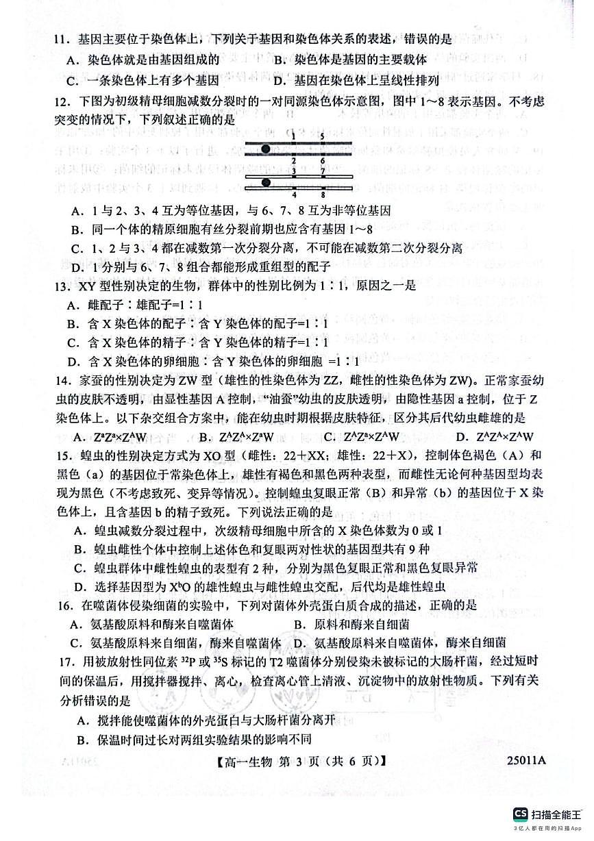 山东省菏泽市鄄城县第一中学2024-2025学年高一下学期4月月考生物试题（有解析）第3页