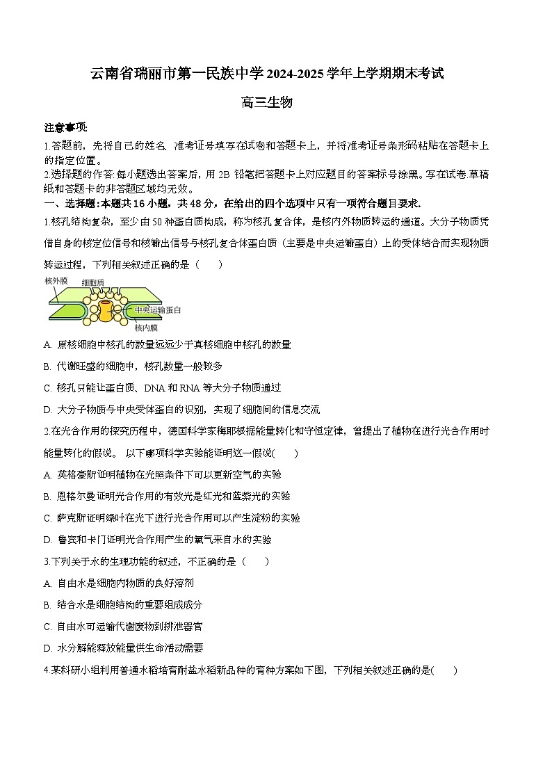 云南省瑞丽市第一民族中学2024-2025学年高三上学期期末考试生物试题第1页