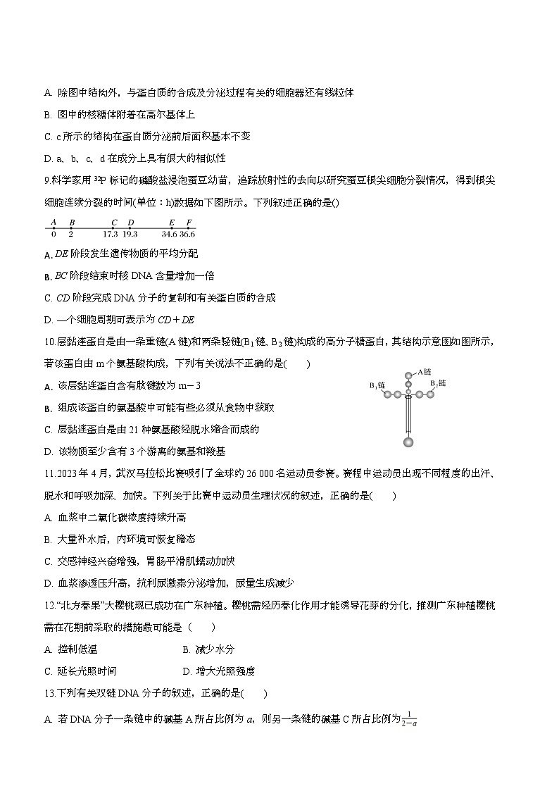 云南省瑞丽市第一民族中学2024-2025学年高三上学期期末考试生物试题第3页