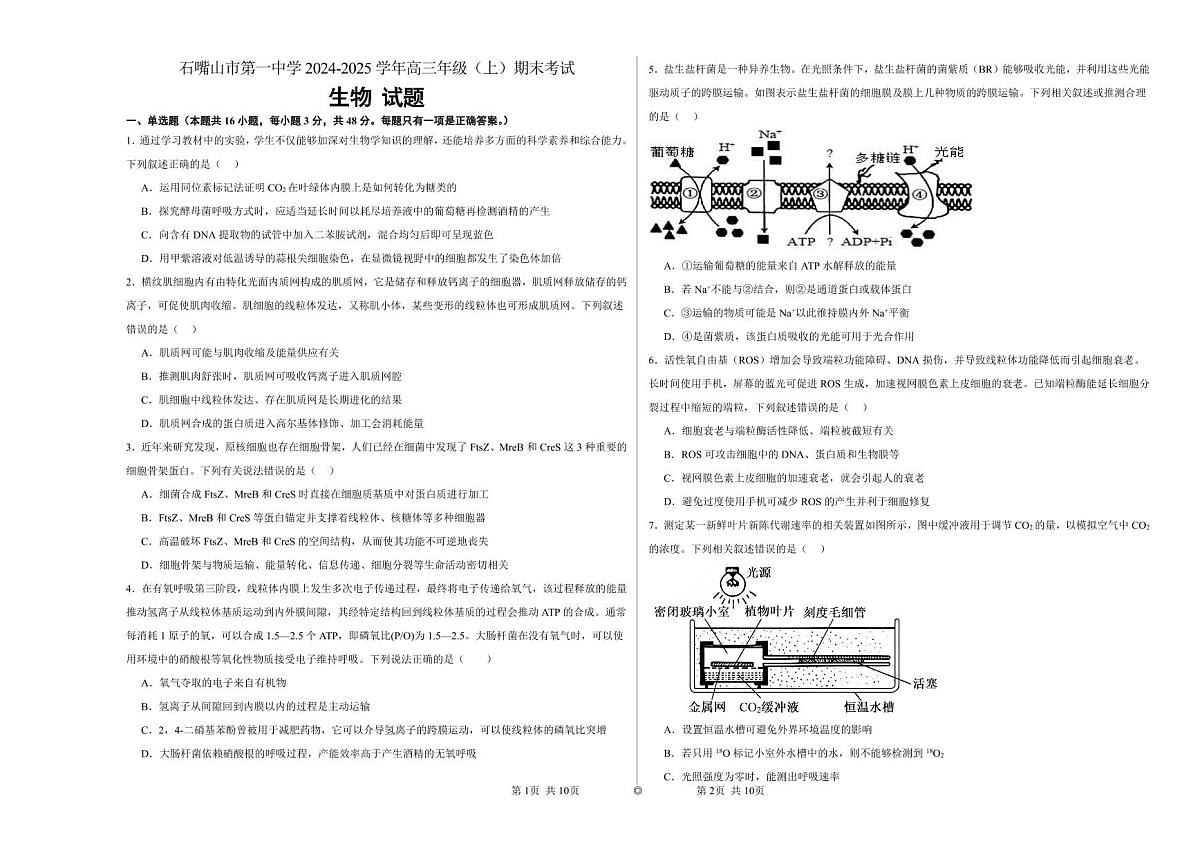 宁夏石嘴山市第一中学2024-2025学年高三上学期1月期末生物试卷（含答案）第1页