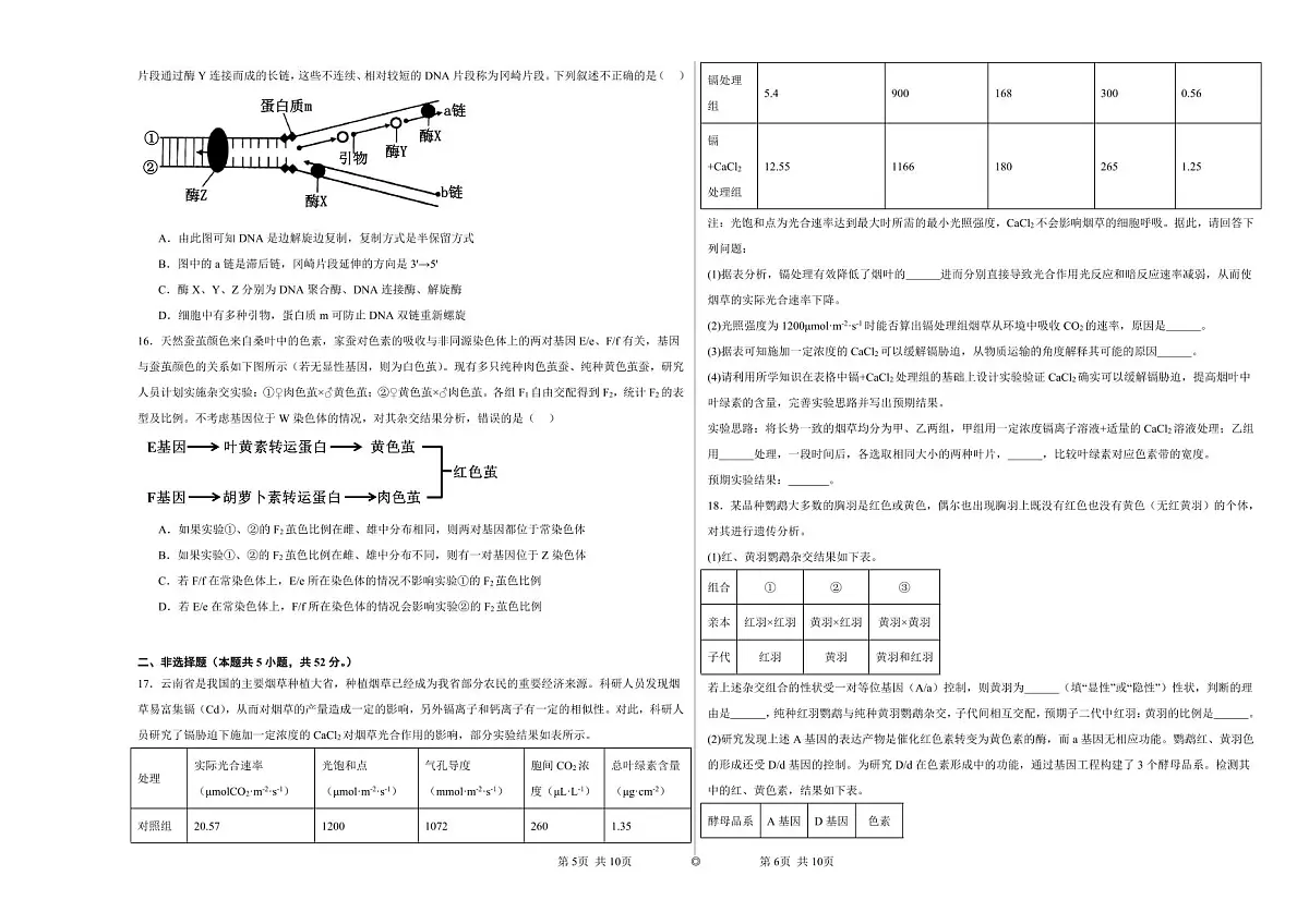 宁夏石嘴山市第一中学2024-2025学年高三上学期1月期末生物试卷（含答案）第3页