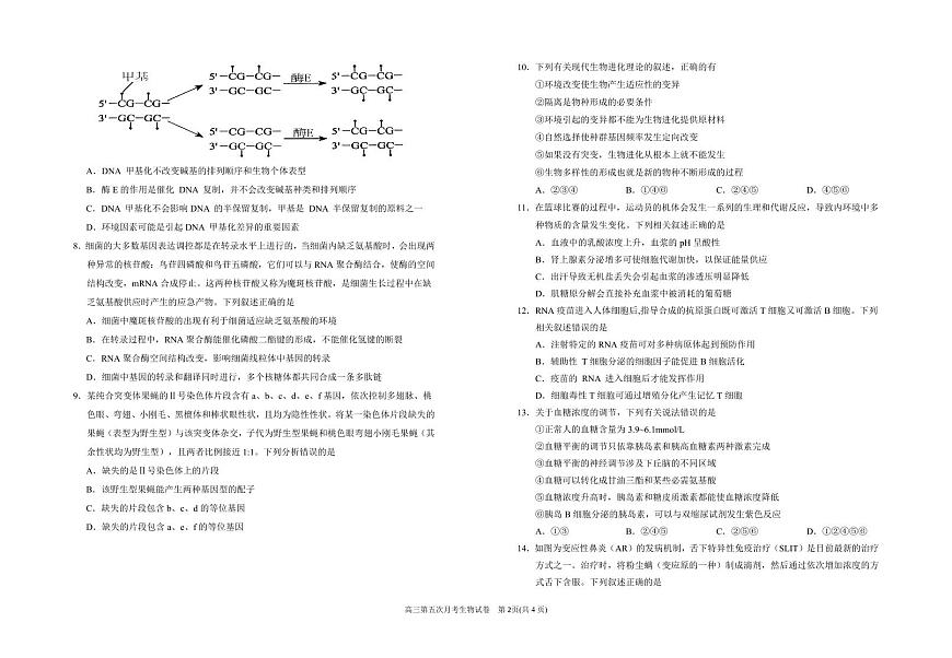 宁夏银川一中2025届高三上学期第五次月考生物试卷（含答案）第2页