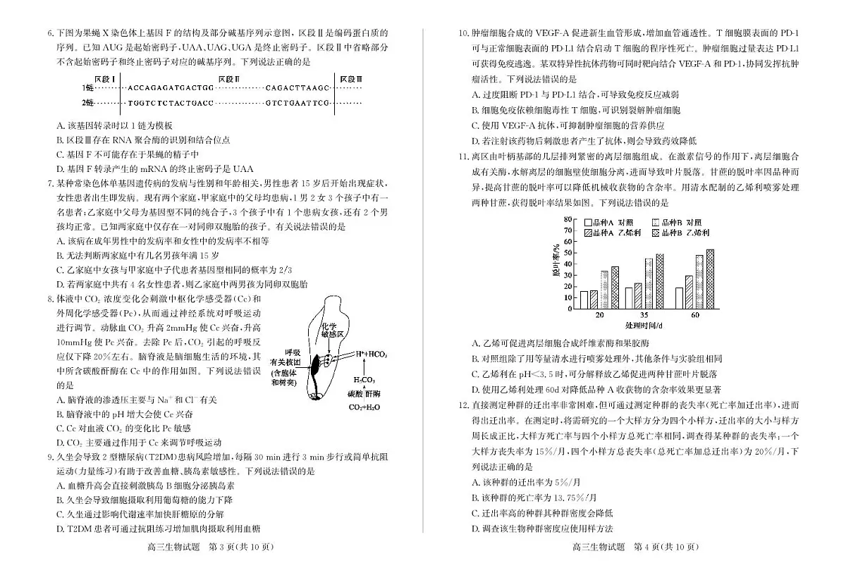 山东省滨州市2024-2025学年高三上学期1月期末考试生物试卷（含答案）第2页
