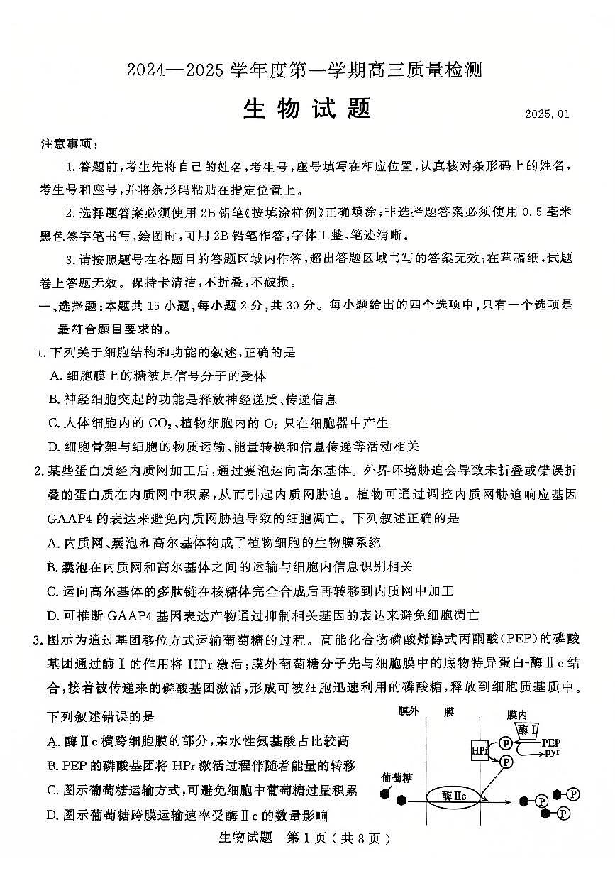 山东省济宁市2024-2025学年高三上学期1月期末考试 生物试卷（含答案）第1页