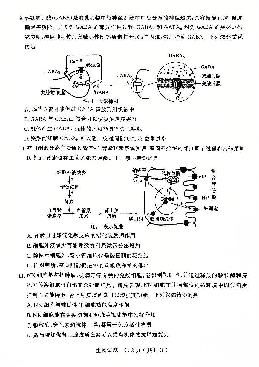 山东省济宁市2024-2025学年高三上学期1月期末考试 生物试卷（含答案）第3页