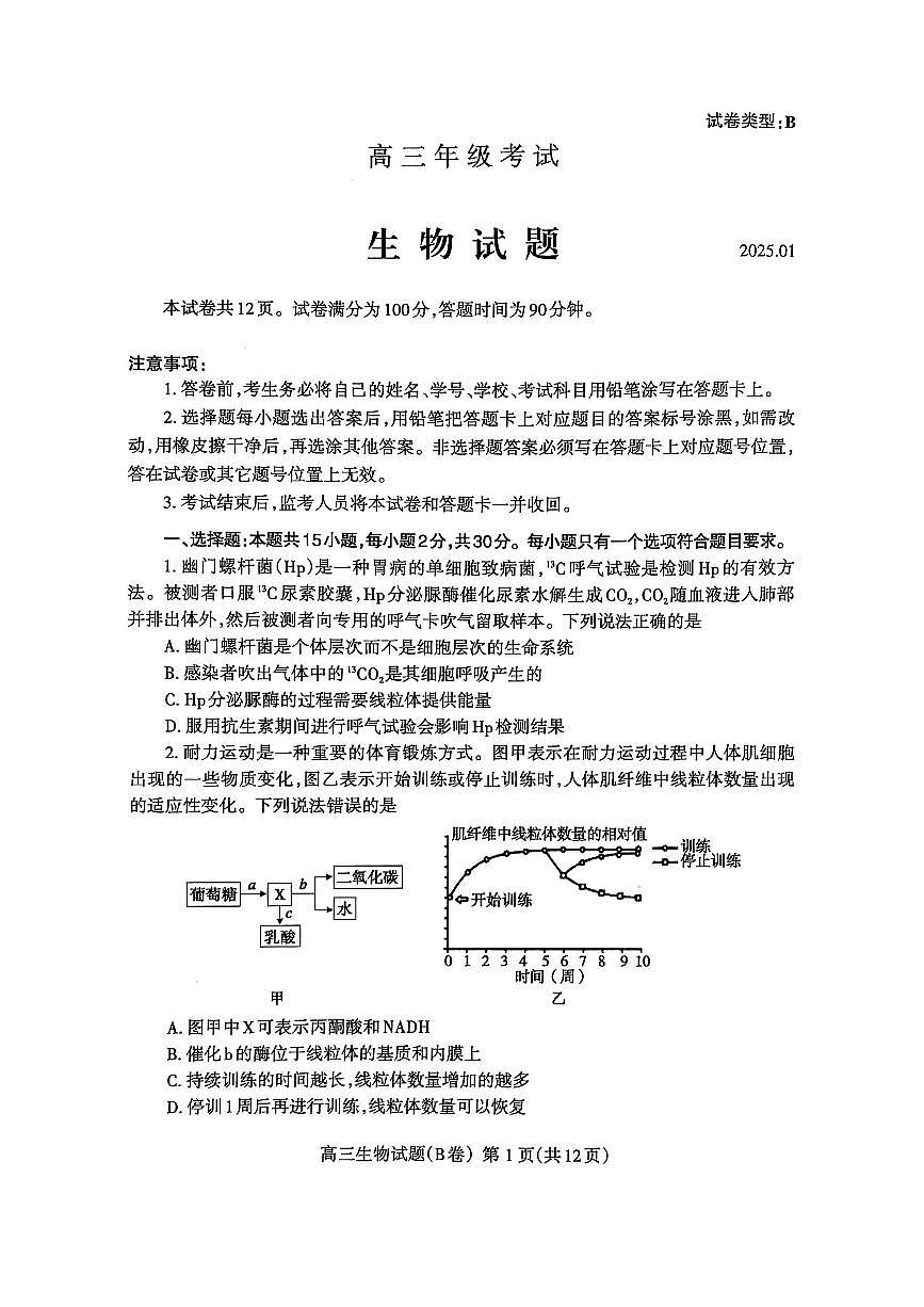 山东省泰安市2024-2025学年度高三上学期期末考试生物试卷（含答案）第1页