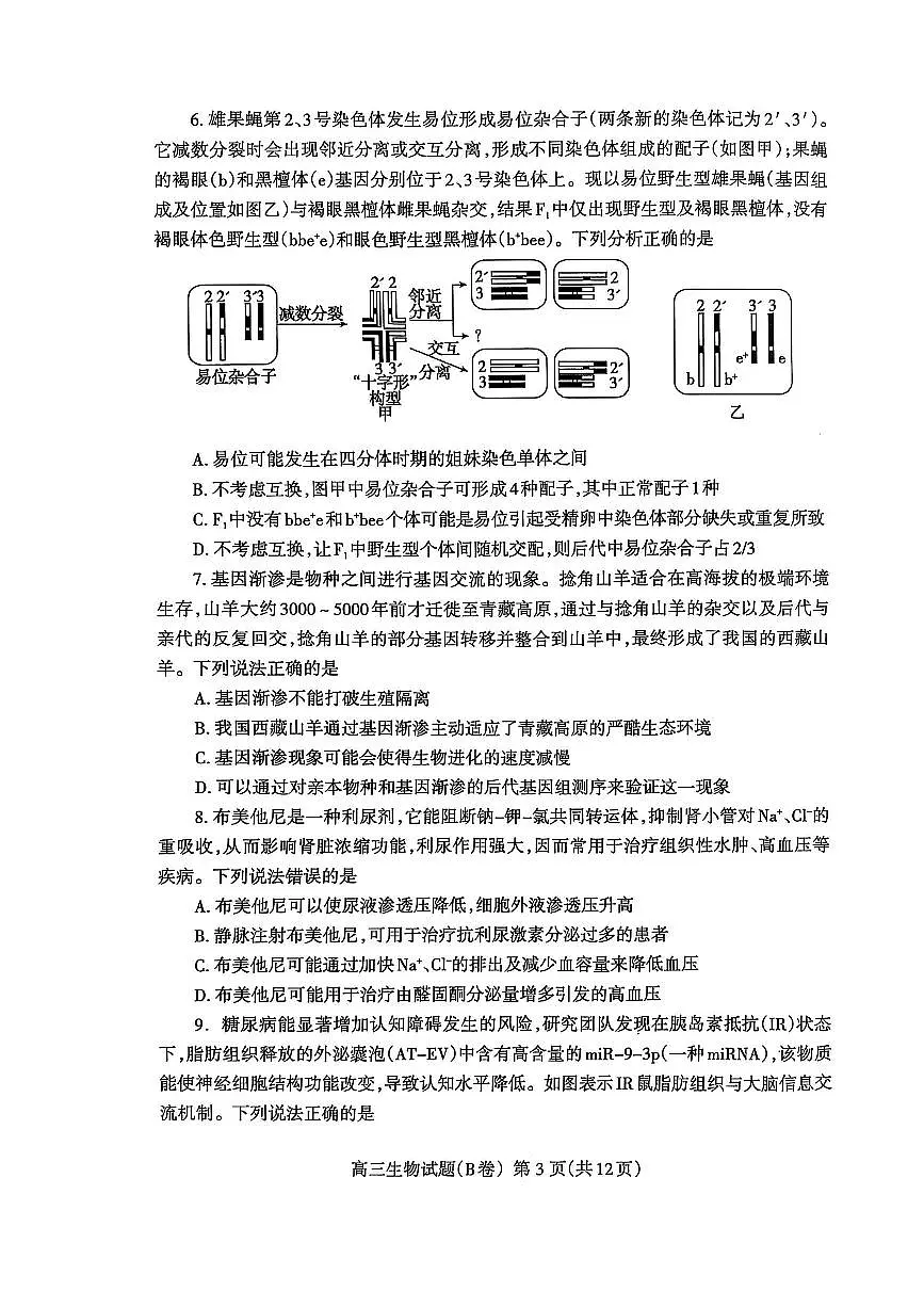 山东省泰安市2024-2025学年度高三上学期期末考试生物试卷（含答案）第3页