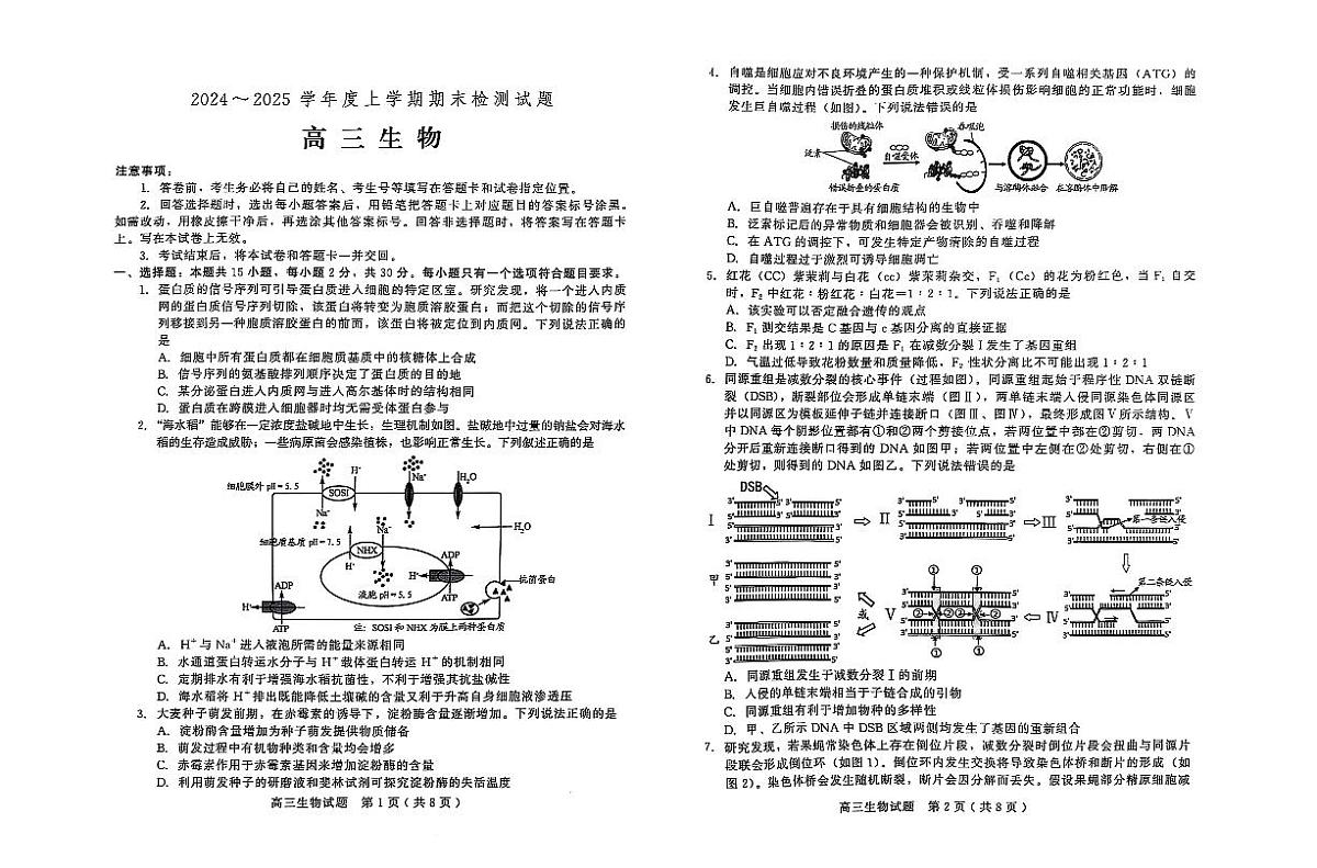 山东省潍坊市2024-2025学年高三上学期1月期末 生物试卷（含答案）第1页