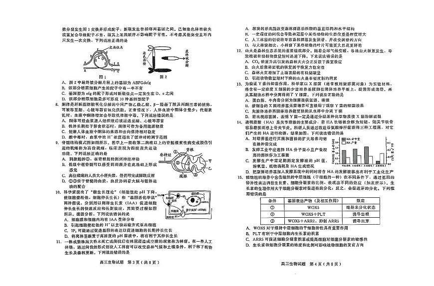 山东省潍坊市2024-2025学年高三上学期1月期末 生物试卷（含答案）第2页
