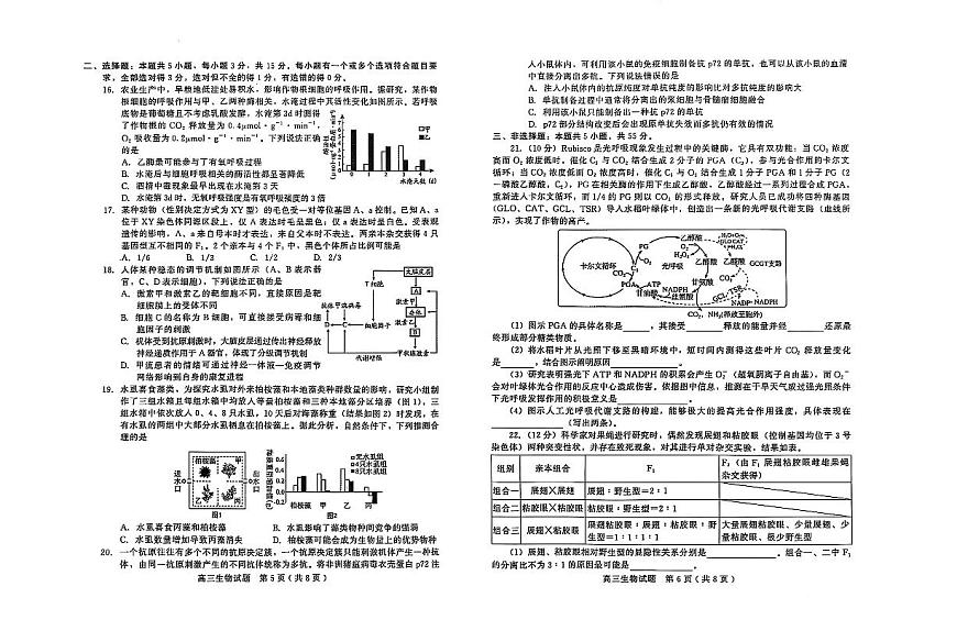 山东省潍坊市2024-2025学年高三上学期1月期末 生物试卷（含答案）第3页