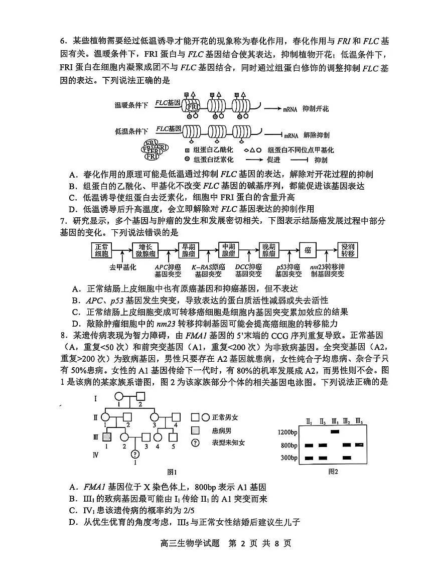 山东省淄博市2024-2025学年第一学期高三期末摸底质量检测生物试卷（含答案）第2页