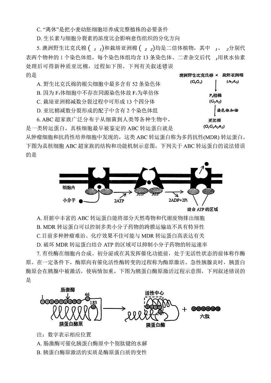 云南省红河州、文山州2025届高中毕业生第一次复习统一检测生物试卷（含答案）第2页