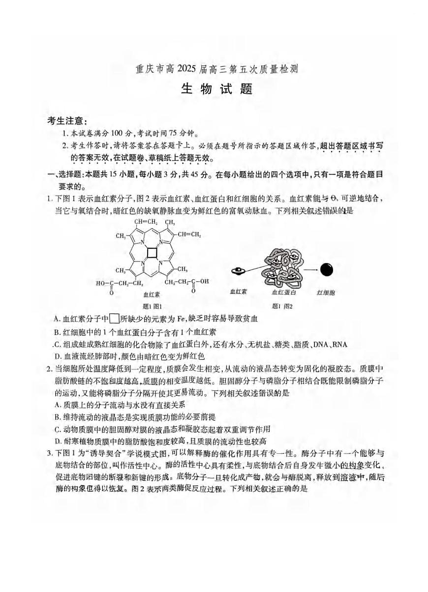 重庆市南开中学校2024-2025学年高三上学期1月期末生物试卷（含答案）第1页