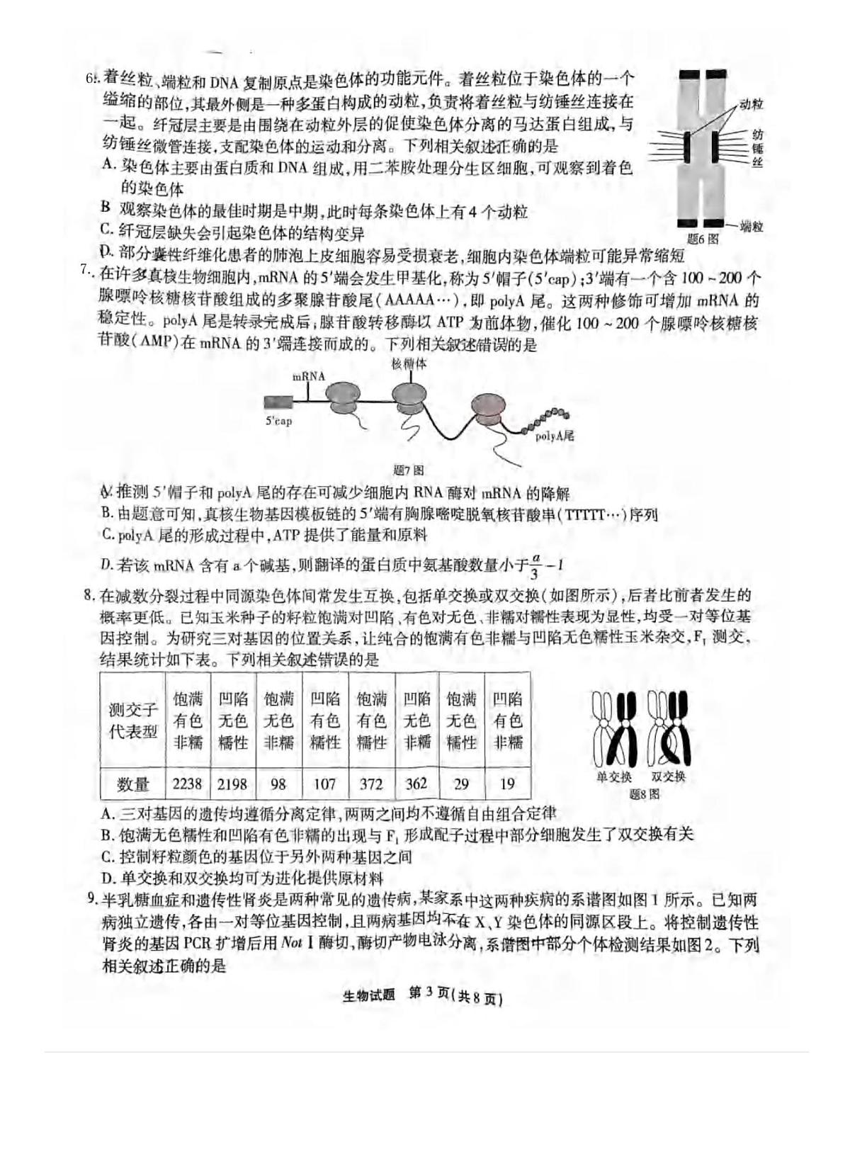 重庆市南开中学校2024-2025学年高三上学期1月期末生物试卷（含答案）第3页