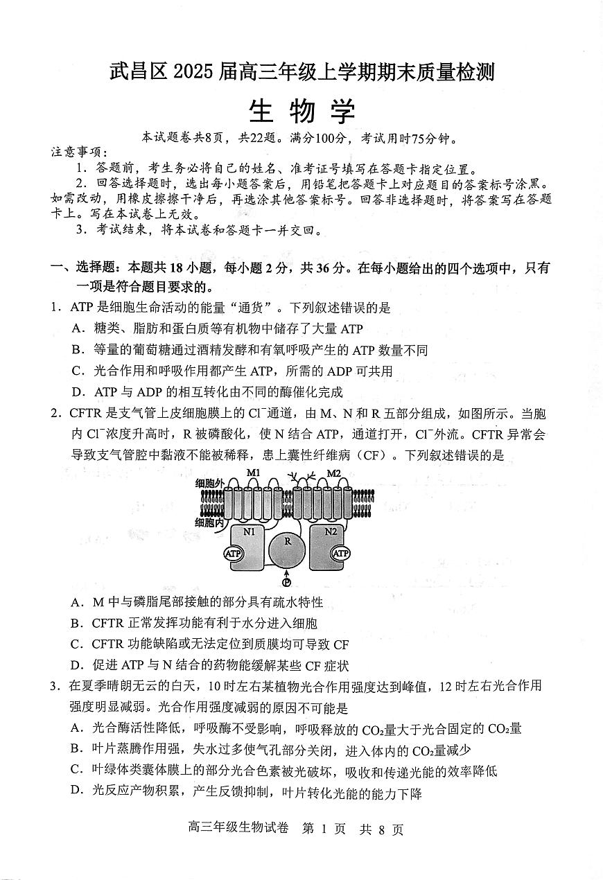 武昌区2025届高三年级上学期期末质量检测生物试卷（含答案）第1页