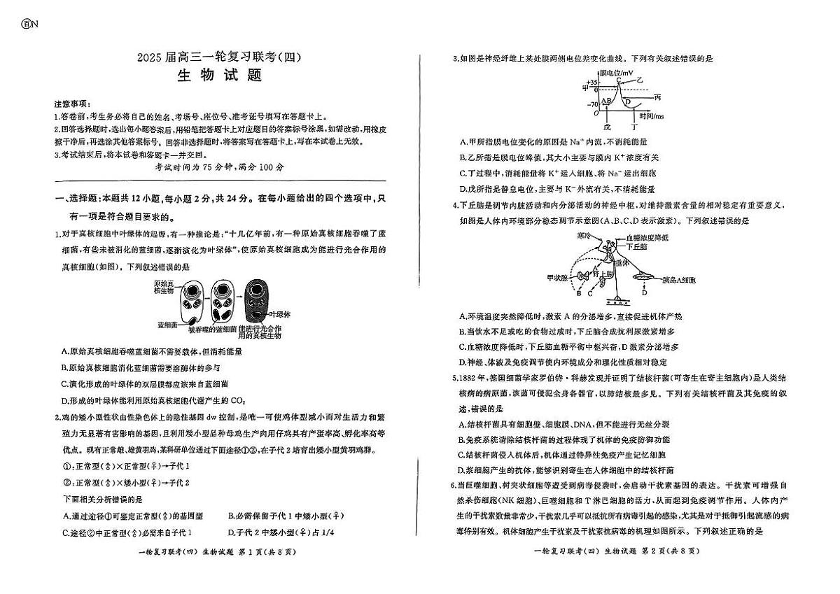 百师联盟2025届高三一轮复习联考（四）生物试卷及参考答案第1页