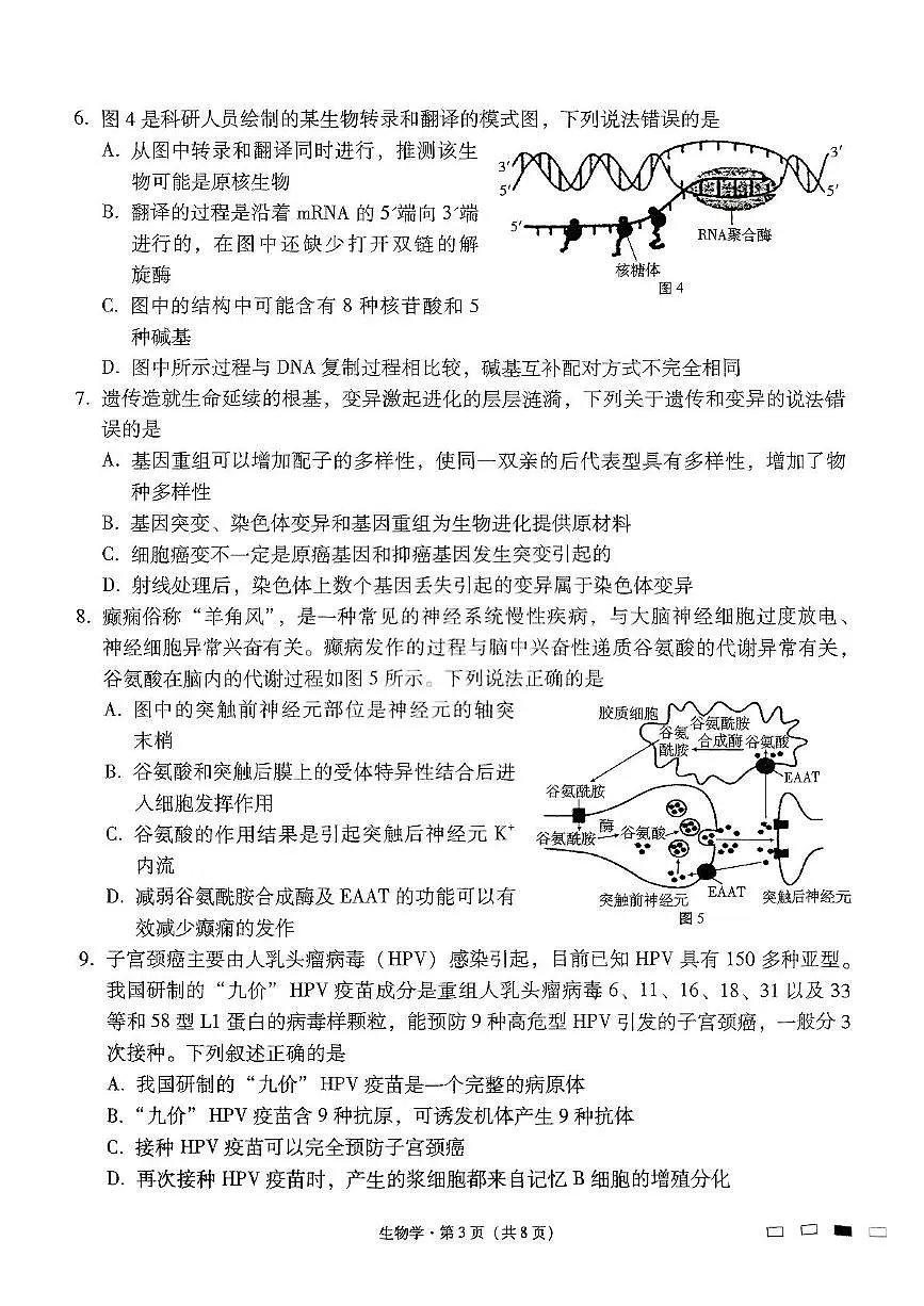 贵州省贵阳市七校2025届高三下学期4月联合考试（三）生物 PDF版含解析第3页