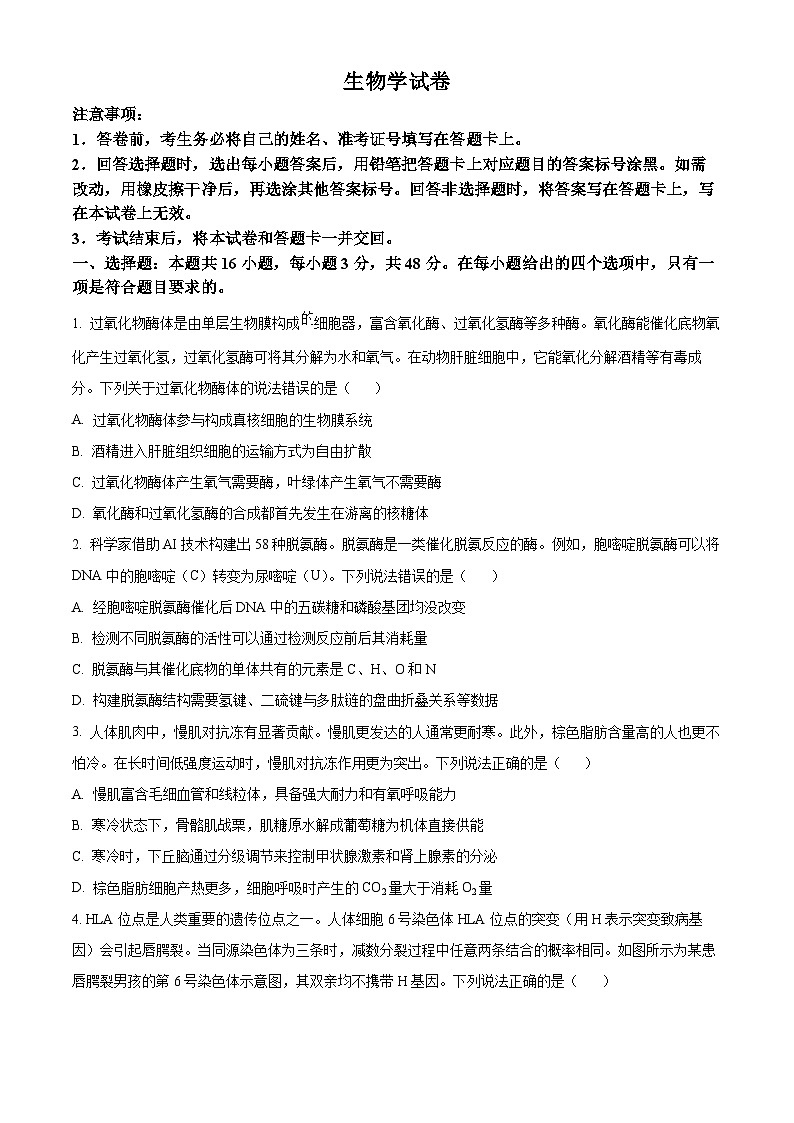 2025届甘肃省白银市靖远县高三下学期第二次模拟试题生物试题（原卷版+解析版）第1页