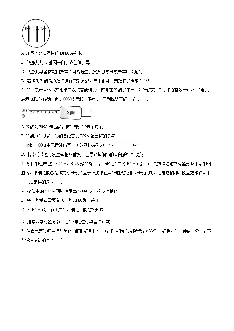 2025届甘肃省白银市靖远县高三下学期第二次模拟试题生物试题（原卷版+解析版）第2页