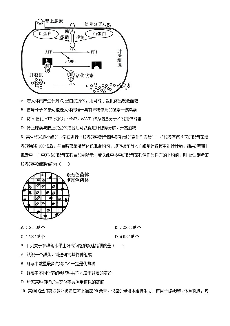 2025届甘肃省白银市靖远县高三下学期第二次模拟试题生物试题（原卷版+解析版）第3页
