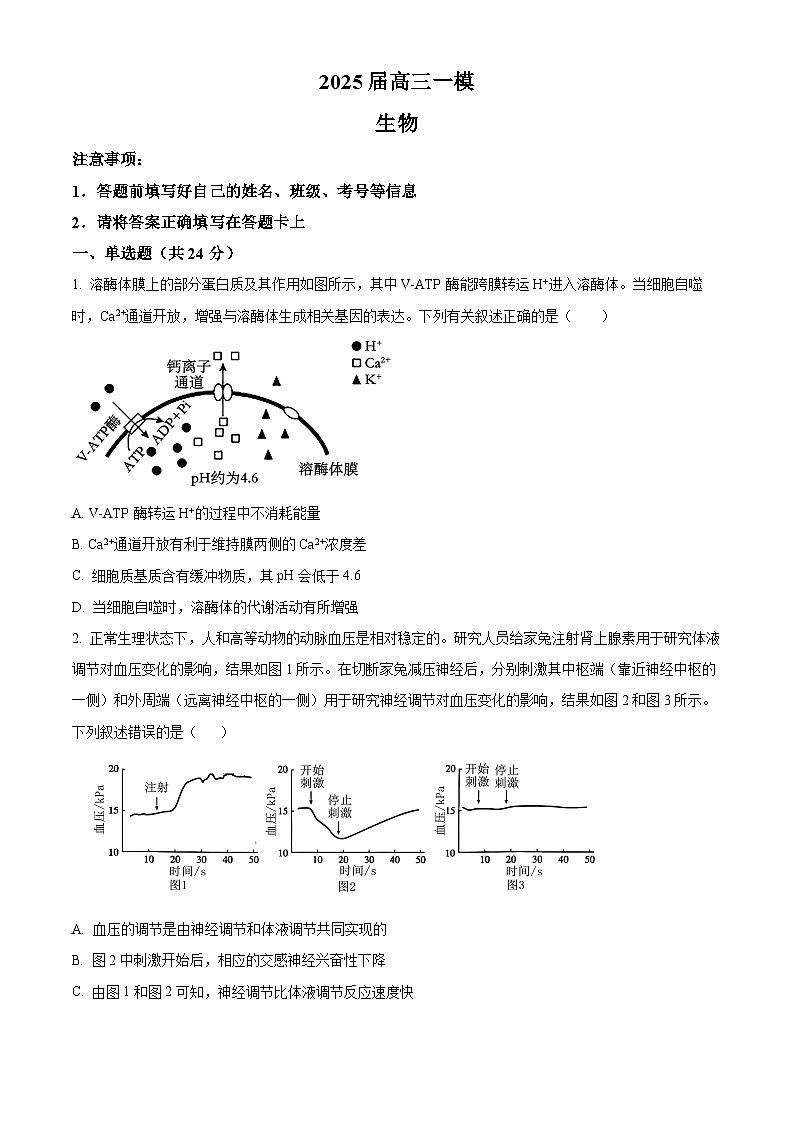 2025届湖南省长沙市望城区长沙市望城区第六中学高三下学期一模生物试题（原卷版+解析版）第1页