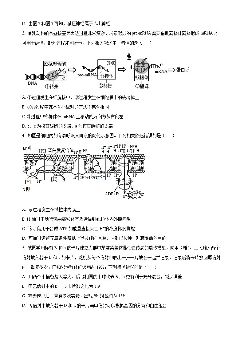 2025届湖南省长沙市望城区长沙市望城区第六中学高三下学期一模生物试题（原卷版+解析版）第2页