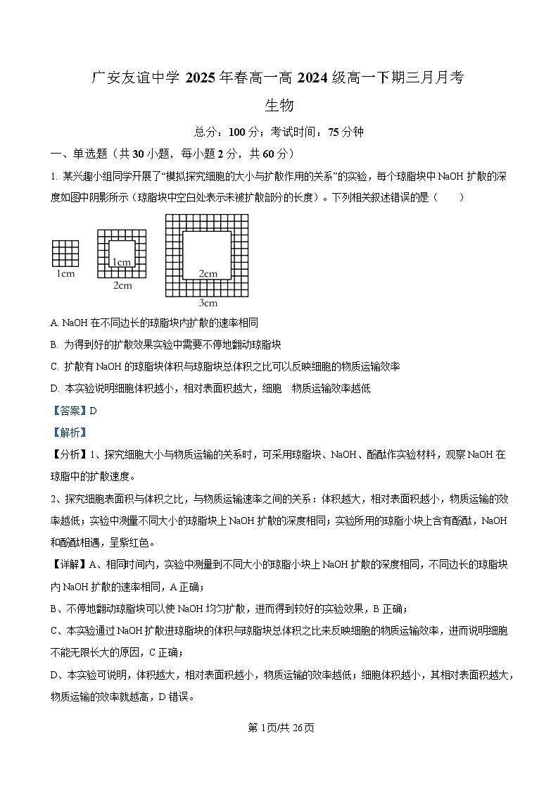 四川省广安市友谊中学2024—2025学年高一下学期3月考试生物试题 Word版含解析第1页