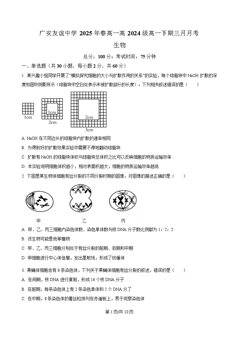 四川省广安市友谊中学2024—2025学年高一下学期3月考试生物试题（原卷版）第1页