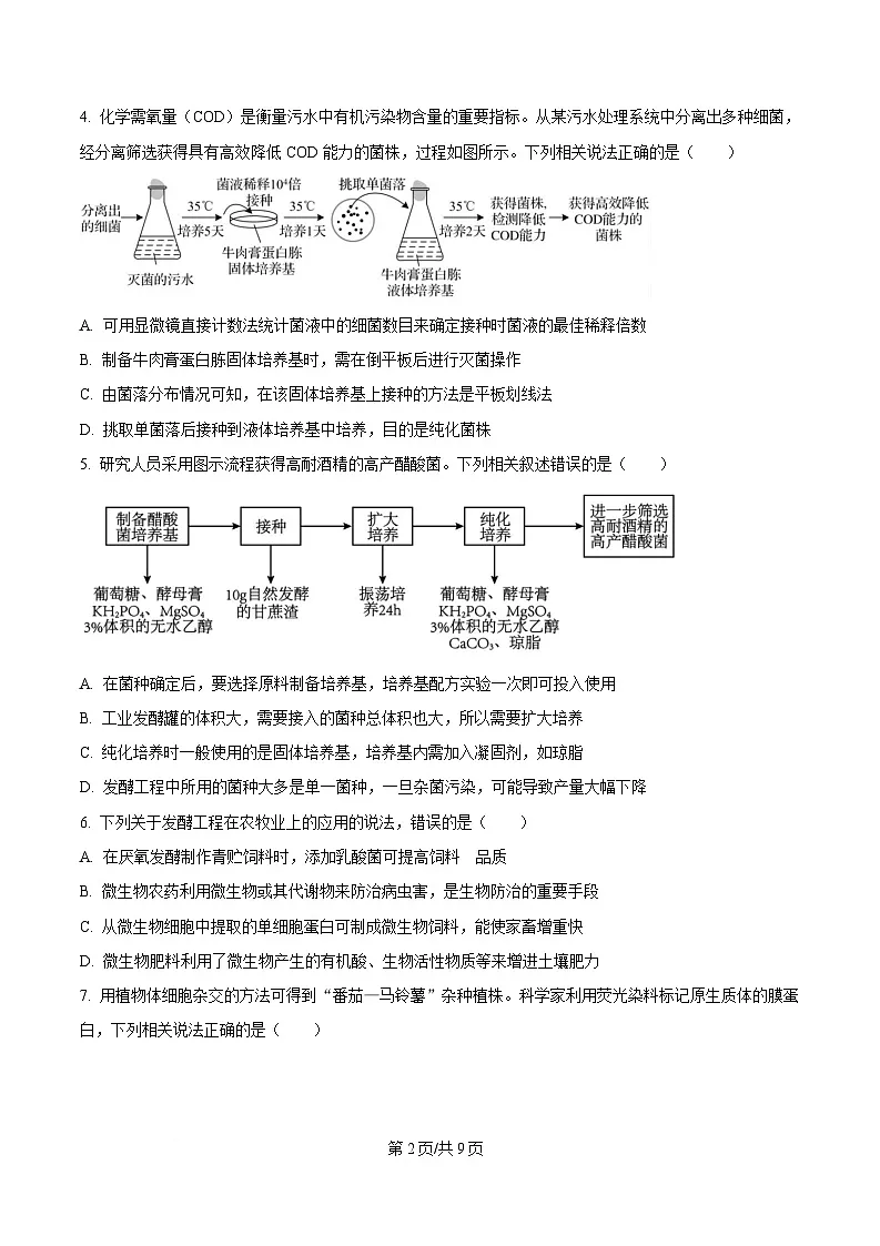 四川省凉山州民族中学2024-2025学年高二下学期3月月考生物试题（原卷版）第2页