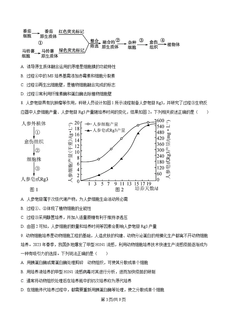 四川省凉山州民族中学2024-2025学年高二下学期3月月考生物试题（原卷版）第3页