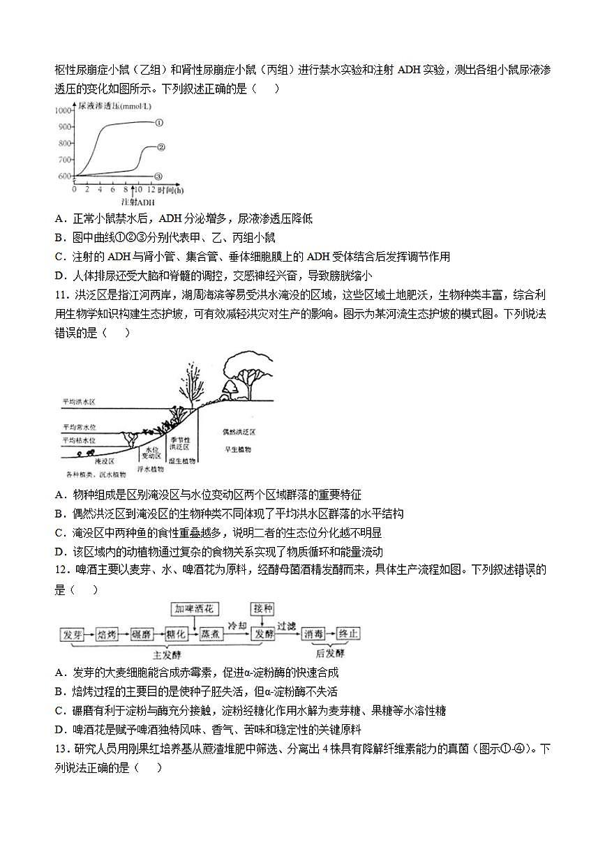 2025届江苏省南通市如皋市高三下学期高考适应性考试（二）生物试题（含答案）第3页