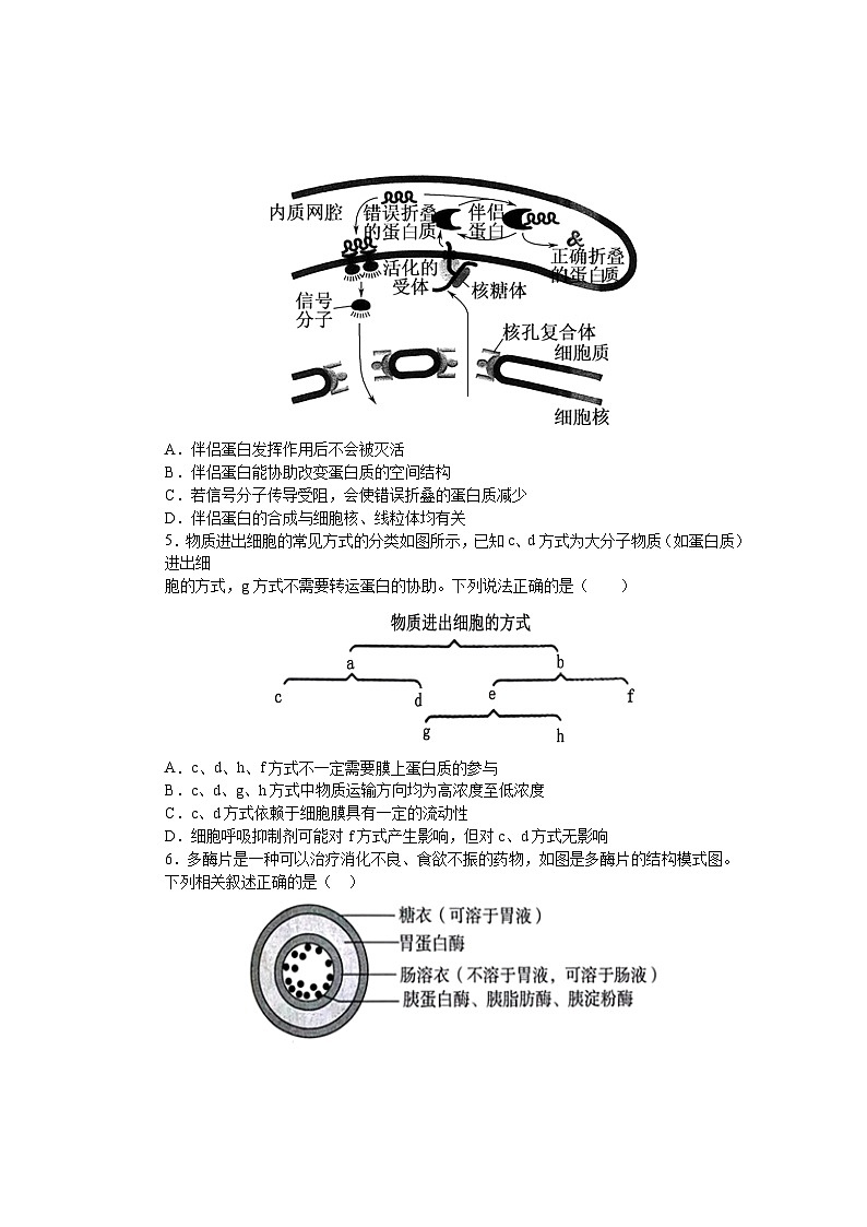 江西省宜春市丰城市第九中学2024-2025学年高一下学期第一次段考生物试卷（含答案）第2页