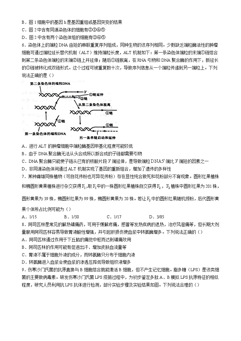 山东省聊城市2024-2025学年高三上学期期末教学质量检测生物试卷（含答案）第3页