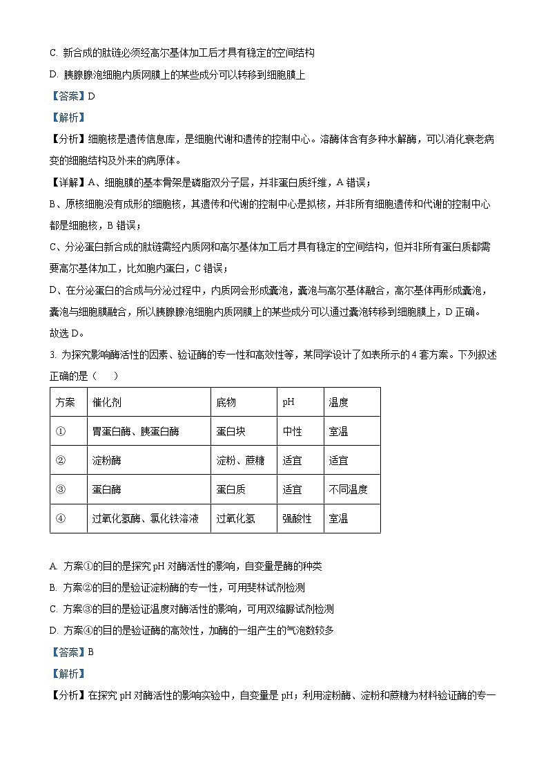 辽宁省丹东市2024-2025学年高三上学期期末生物试卷 含解析第2页