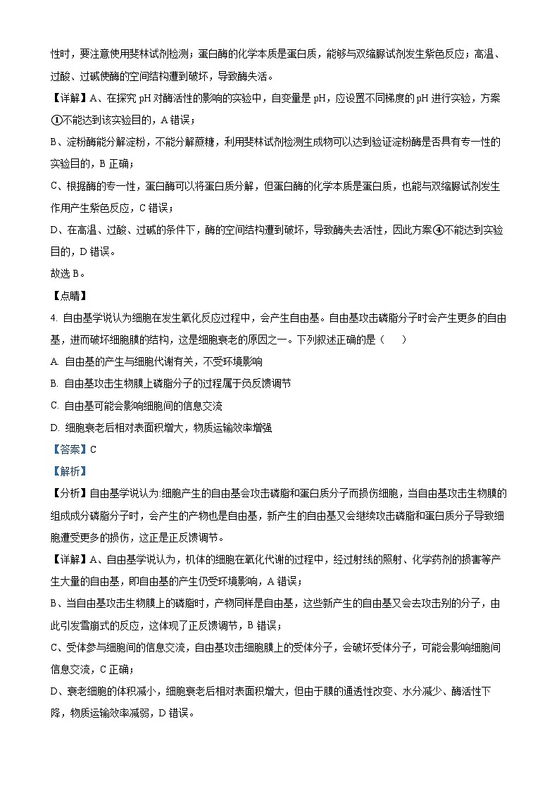辽宁省丹东市2024-2025学年高三上学期期末生物试卷 含解析第3页