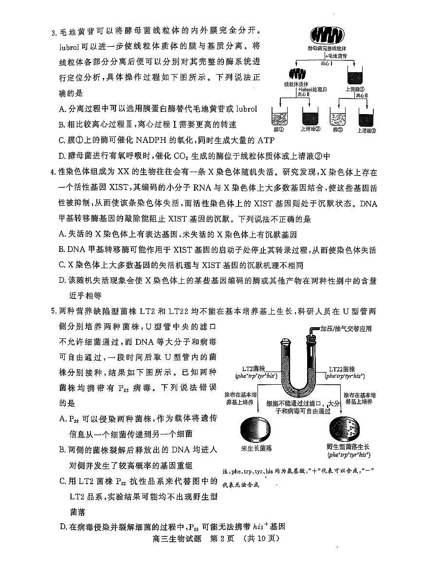 2025届山东省名校联盟高三下学期2月开学考试生物试题（含答案）第2页