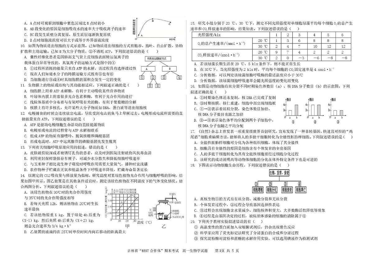 吉林省“BEST合作体”2024-2025学年高一上学期期末考试 生物试卷（含答案）第2页