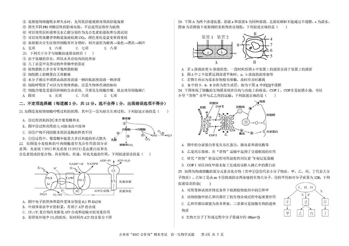 吉林省“BEST合作体”2024-2025学年高一上学期期末考试 生物试卷（含答案）第3页
