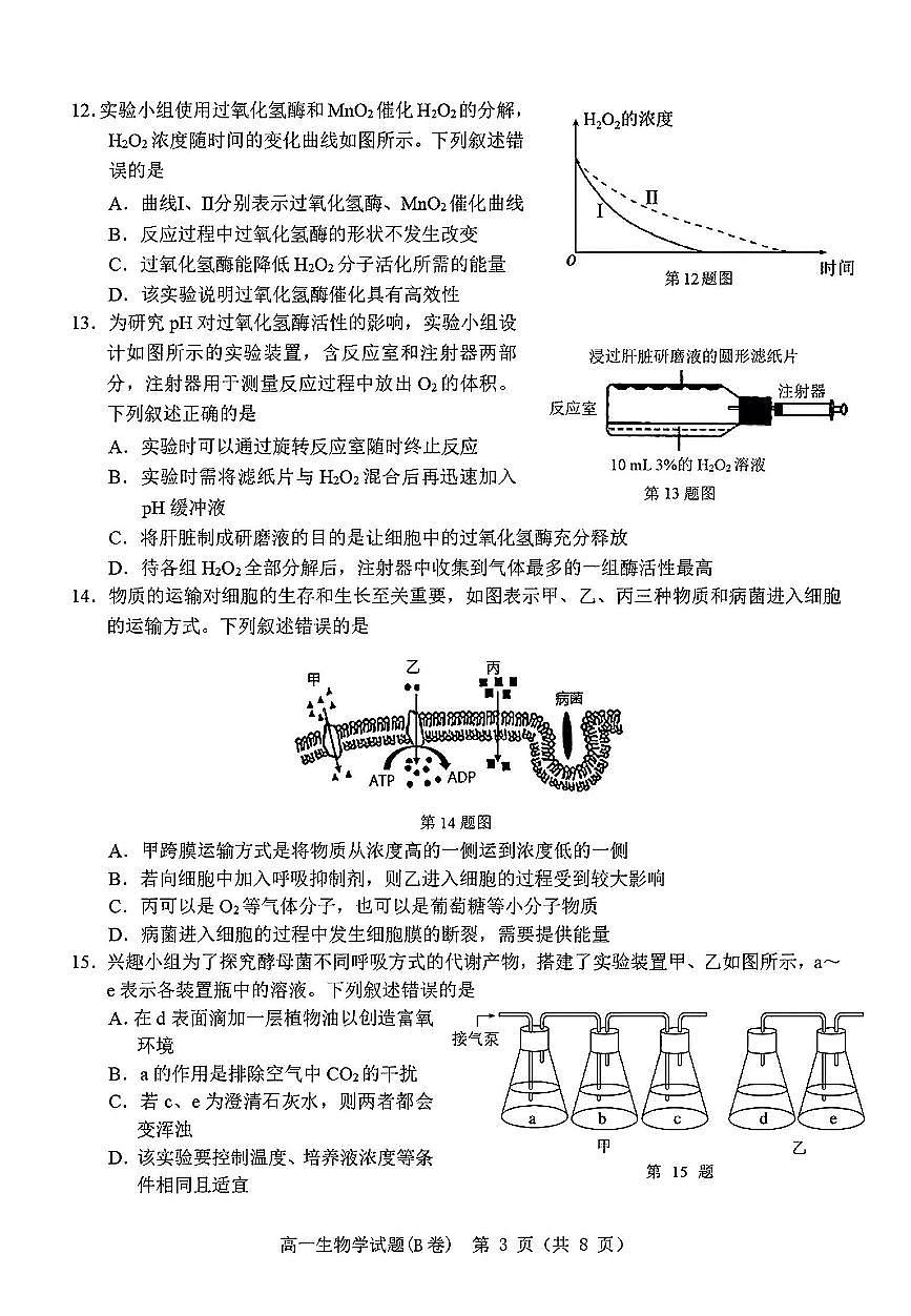 浙江省温州市2024-2025学年高一上期末 生物试卷（含答案）第3页