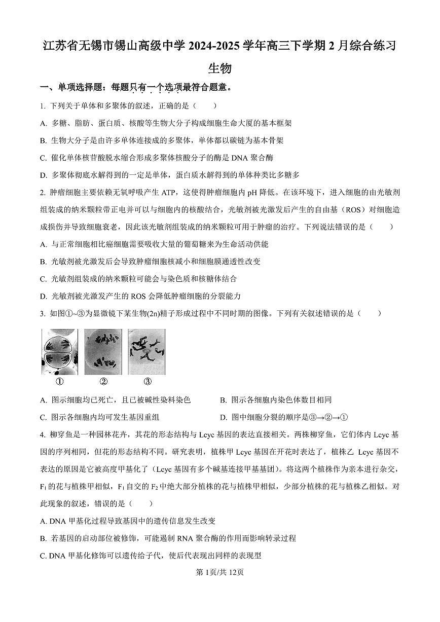 江苏省锡山高级中学2024-2025学年高三下学期2月综合练习生物试卷（含答案）第1页