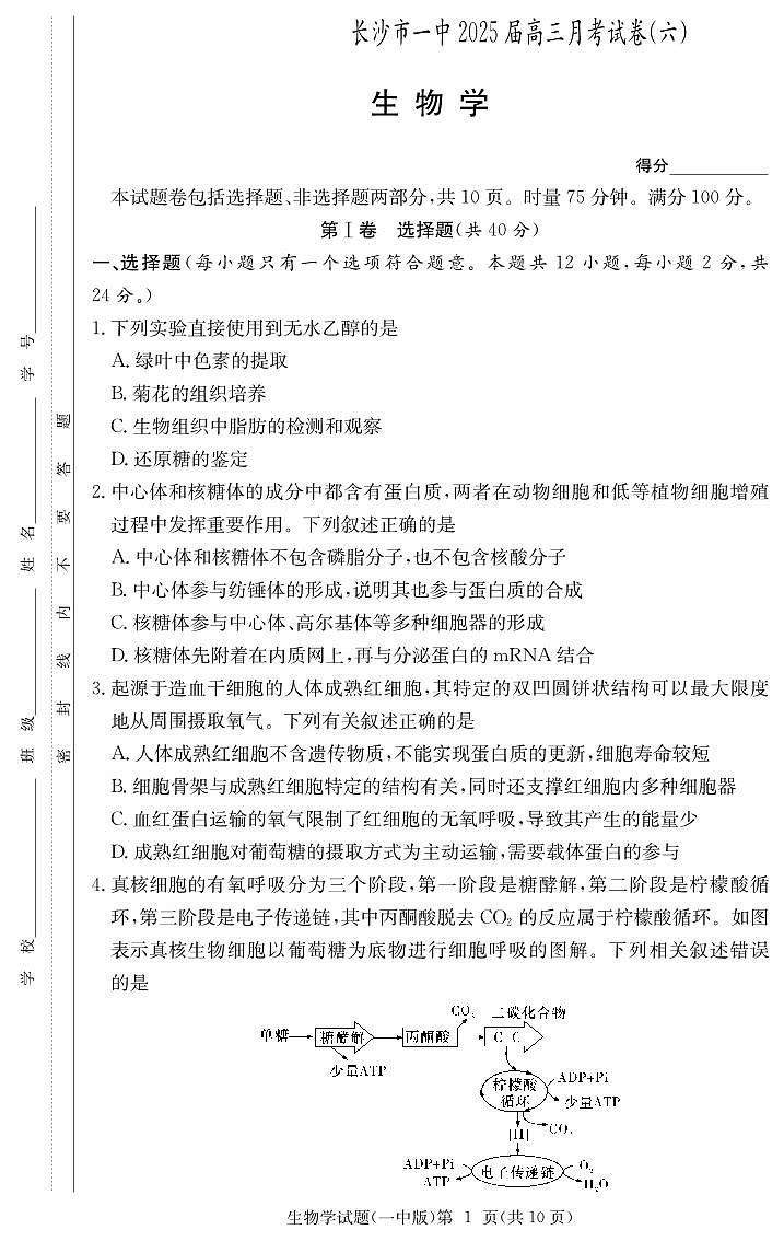 大联考长沙市一中 2025 届高三月考试卷（六）生物试卷（含答案）第1页
